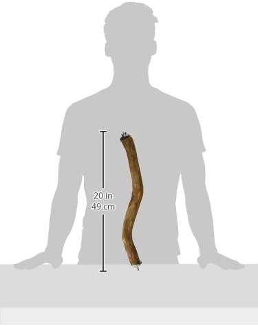 Polly's Full Length Hardwood Cage Perch for Parakeets, Cockatiels, Cockatoos, Macaws, and Other Birds (16")