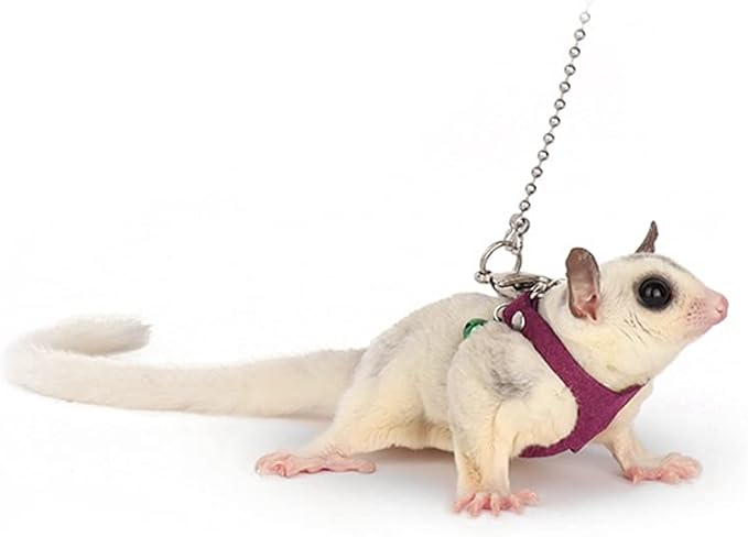 3 Pack Sugar Glider Harness and Leash Set - Adjustable Traction Rope Strap Anti-Biting Chain Rope, Small Animal Training Walking Vest Leash for Sugar Glider Squirrel Hamster Rat Birds Reptile (Purple)
