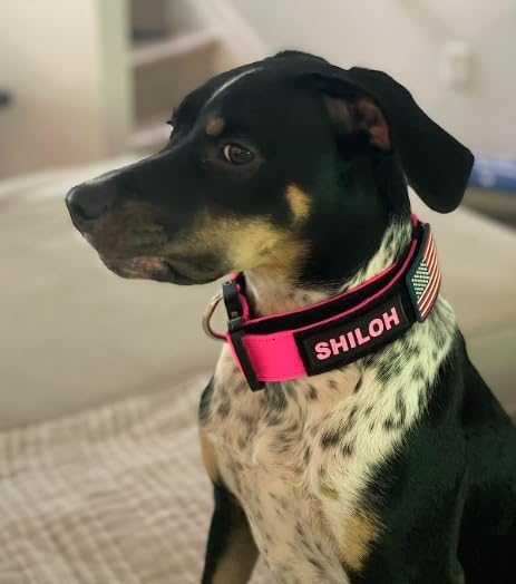 Tactical Dog Collar with Handle, American Flag Patch, 1.5 Inch Wide Thick Heavy Duty Nylon, Quick Release Metal Buckle, Customizable Name Plate, Ideal Dog Collars for Medium to Large Breeds K9 Harness