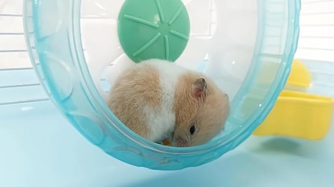 PETZHUBO Hamster Cage Small Animal Cage 3 Layers Cage Size:14.17"(W) X10.63(L) X16.73 (H) Suitable for Hamsters up to 3.5 inch in Length,Blue Colour.
