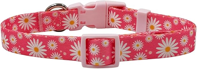 Dog Collar Leash Set, Floral Pattern, Polyester Material, Adjustable Collar and 5ft Matching Leash, for Large Dogs.(L, Daisy)