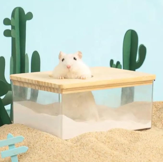 Exotic Nutrition Acrylic Sand Bath House - Fun & Unique Cage Accessory for Hamsters, Gerbils, Chinchillas, and Degus (Small)