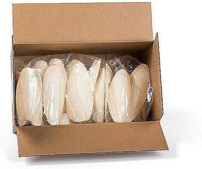 Prevue Pet Products Cuttlebone Pack with Holder - 25Natural Calcium Bones for Birds, Beak Conditioning and Enrichment Toy, Easy Cage Attachment for Cockatiels, Conures, & Small African Greys - Large