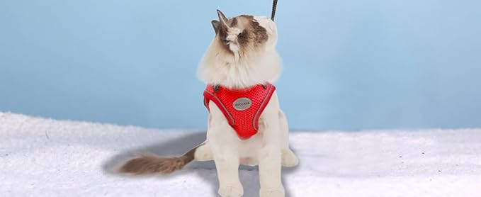 Cat Harness and Leash for Walking, Kitten Escape Proof Harnesses, Adjustable Reflective Puppy Harness with Leashes Set, Easy Adjustable Soft net Breathable Pet Safety Vest