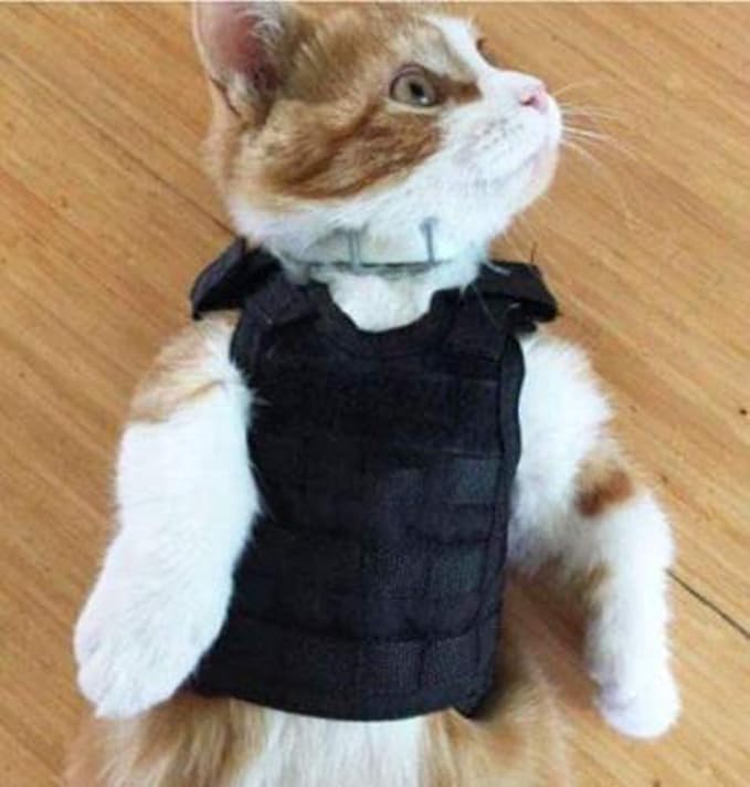 Ferret Clothes Small Animals Harness Military Style Adjustable Shoulder Straps Soft Mesh Comfort Durable Nylon Padded Vest Ferret Guinea Pig Hamster Bunny Kitten Puppy Small Pet Clothes Accessory
