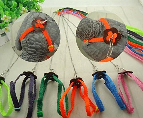 F-P 1pcs Parrot Bird Pigeons Harness & Leash Anti-bite Adjustable Multicolor