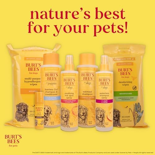 Burt's Bees for Pets Dog Paw and Nose Lotion with Rosemary and Olive Oil, Moisturizing Paw Balm for Dry Cracked Pads and Dog Nose Butter Moisturizer, Paw Lotion for Dogs Skin Care, 4 Fl Oz - 24 Pack