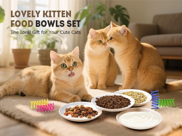 Cat Bowls for Indoor Cats, 8 Anti Whisker Fatigue Cat Food Bowl, No Spill Cats Dishes for Food and Water, Ceramic Kitten Bowls Shallow Wide Plates for Pets, Non-Slip Base, with 4 Spring Toys