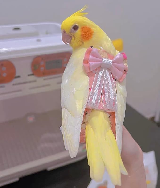 Bird Flight Suits Diapers, Parrot Diapers for Monk Parakeets, Cockatiels, Parrot Clothes Costume, Bird Training Nappy Suit Liners Clothes (Large,White)