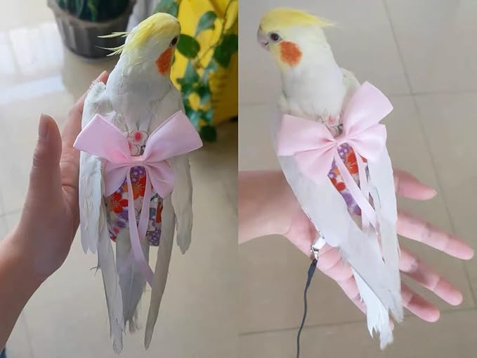 Bird Flight Suits Diapers, Parrot Diapers for Monk Parakeets, Cockatiels, Parrot Clothes Costume, Bird Training Nappy Suit Liners Clothes (Medium,Pink)
