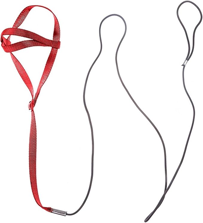 Adjustable Bird Harness and Leash,Anti-Escape Durable Nylon Parrot Harness, Flying Training Rope Parrot Leash for Small Medium Large Breed Parrots Fits Chest Under 20'', Red M