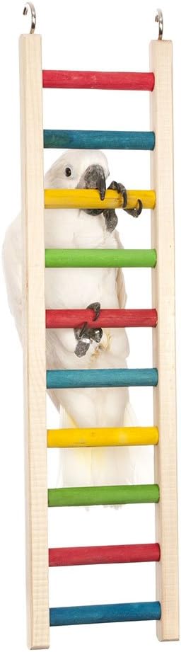 Paradise Toys 24-Inch Wood Parrot Ladder