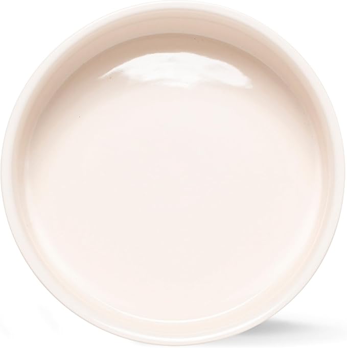 Fringe Studio Memento DOT Small Stoneware Pet Bowl, PetShop Collection (633101)