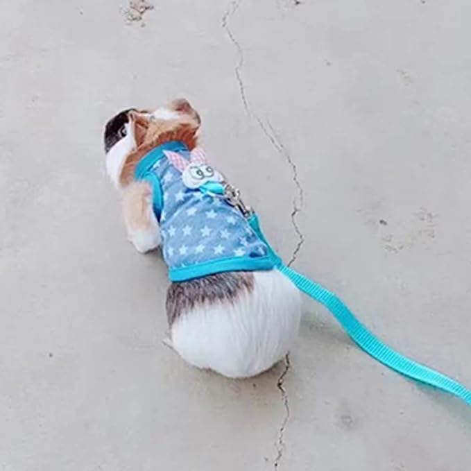 Small Animals Harness Warm Hamster Clothes Blue Guinea Pig Harness and Leash Set Small Pets Outfits for Mouse Rats Hedgehog Squirrel and Small Breeds,M
