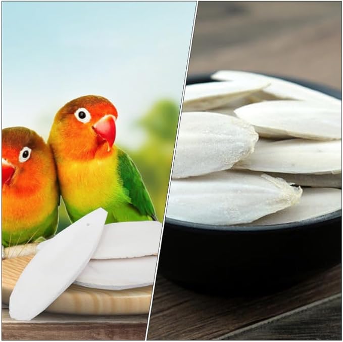 UKCOCO 12 Sets Natural Cuddle Bone Chew Toys, Chewing Cuttlefish Bone Bird Parrot Cage Bite Toys for Parakeets Cockatiel Macaw Conur 10-12CM