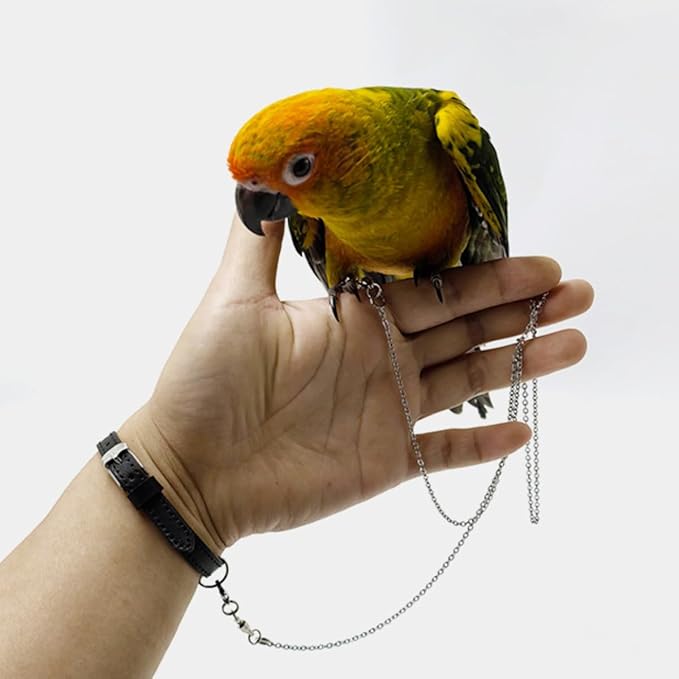 Bird Foot Chain Flying Stainless Steel Training Rope with Leather Wrist Strap Outdoor Parrot Ankle Foot Ring Accessories Bird Harness Leash Prevent Escaping (Model 4 Set)