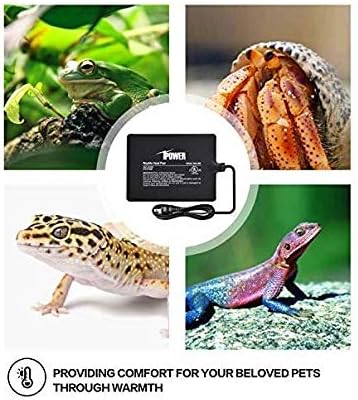 iPower Reptile Heat Pad 8W Under Tank Terrarium Warmer Heating Mat for Turtles Lizards Frogs and Other Small Animals, 6"x8" Inch