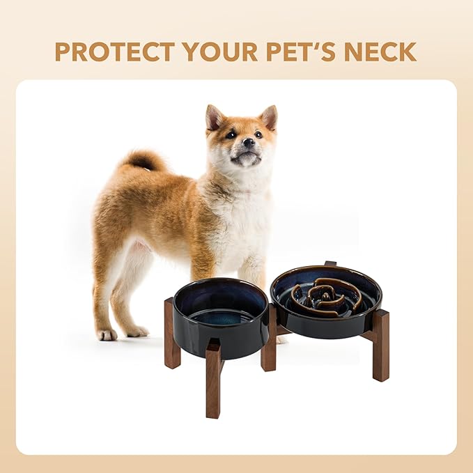 Havniva Elevated Slow Feeder Dog Bowls, 1.2 Cups/7.3 inch Slow Feeders + 6.1 inch Ceramic Dog Food & Water Bowls Set with Acacia Wood Stand Puzzle Bowls for Fast Eater, Small Dogs Anti-Choking