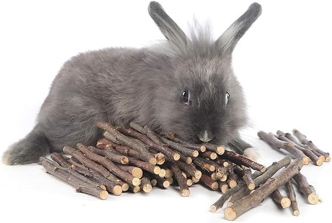 William Craft 250g Apple Sticks Small Animals Molar Wood Toys for Rabbits Chinchillas Guinea Pig Hamster Gerbil Bunny and Small Animal Chew Stick Toys