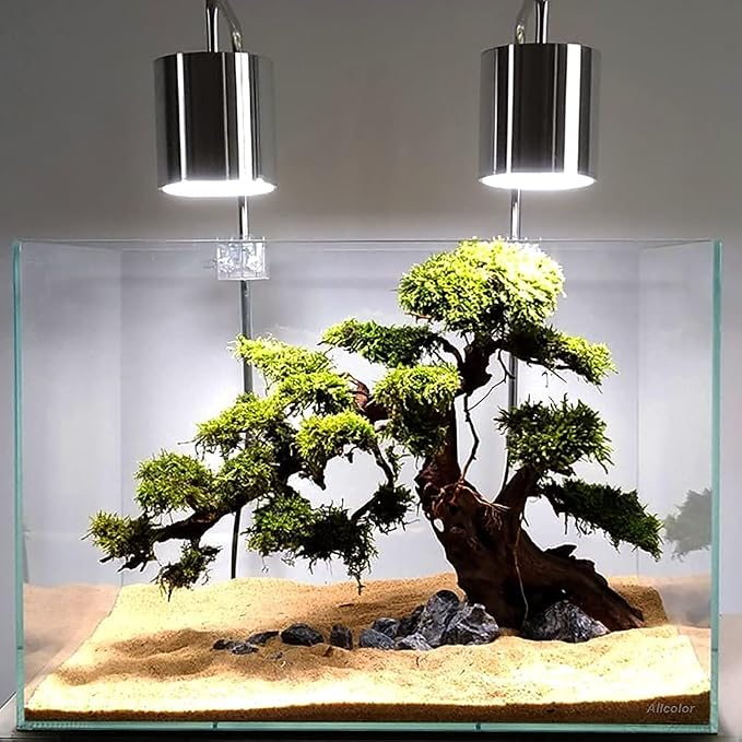 Allcolor Artisan Grade Ultra Clear Rimless Aquarium Tank (10GaI) | Low Iron Glass Fish Tank for Professional Aquascaping and Planted Layouts, 6-60 Gallons (10GaI - Top Glass Canopy)