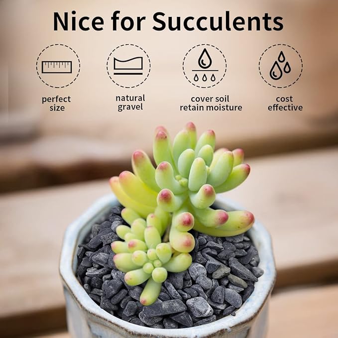 FANTIAN 2lbs Black Gravel, 3/8 Inch Black Stones. Decorative Black Rocks for Succulent Plants, Vase, Cactus, Bamboo Plants and Outdoor Garden Landscaping