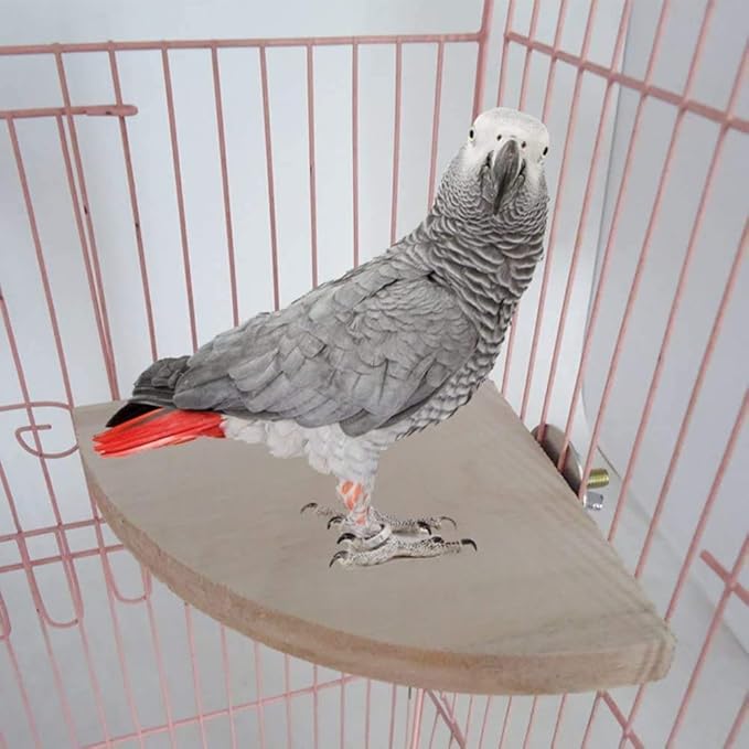 Litewoo Bird Parrot Corner Perch Flat Platform Stand, Easy to Install, Safe and Stable, Smooth Polishing Without Hurting Feet, Solid Hardwood Bird Cage Perches(XL)