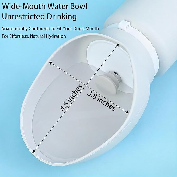 BlueDreamer Portable Dog Water Bottle, Collapsible Pet Water Dispenser with Wide Mouth Design, Leak Proof, Gray, 18.6 oz