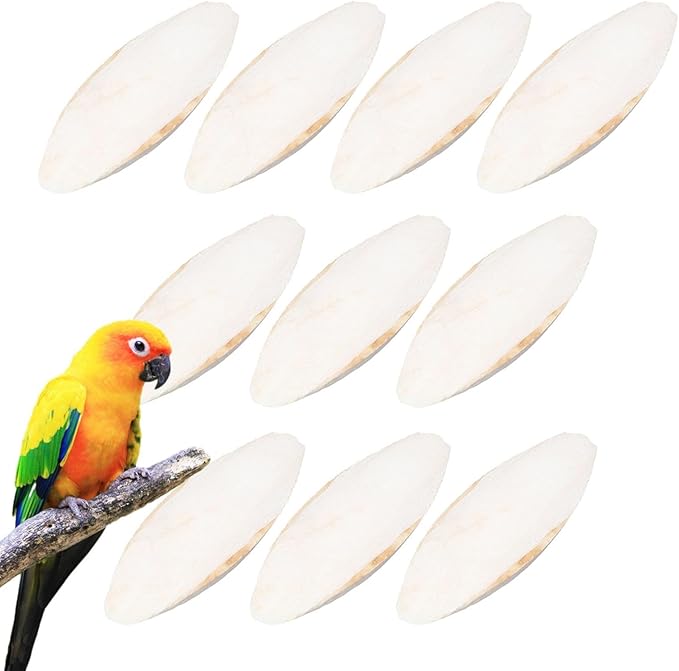 10 Pack Bird Cuttlebone Chew Toy, Natural Cuttlebone for Birds Parakeets Reptile Tortoises Snails, Cuttlefish Bone for Birds, Bird Calcium Stone for Parrots Cockatiels Budgie Macaw