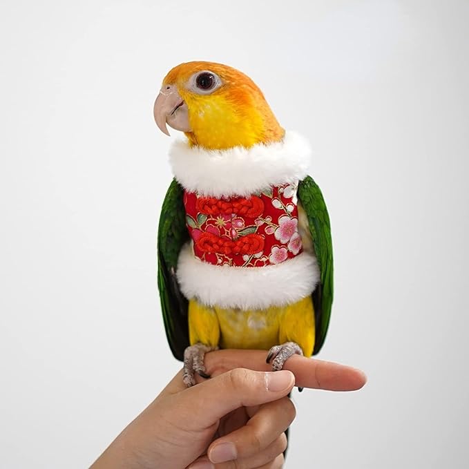 Bird Costume Flight Suit Clothes Cosplay Photo Prop for Parrots Parakeet Cockatiel Sun Conure, Hoodie Small Animals Apparel (Red, Large), Green (BPF1)