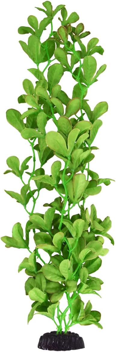 Underwater Treasures Silk Bacopa Monnieri - 20"