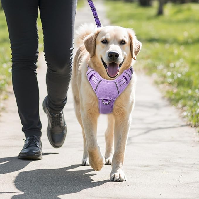 BARKBAY No Pull Dog Harness Large Reflective Dog Harness with Front Clip and Easy Control Handle for Walking Training Running with ID tag Pocket(Violet Purple,L)