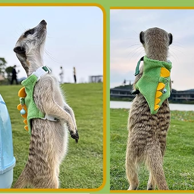 Ferret Harness and Leash Set Small Animals Vest Harness with Safe bell Dinosaur Shaped Walking clothes for Baby Rabbit Guinea pig Teacup Chihuahua Mouse and other small pet(Green Dinosaur)