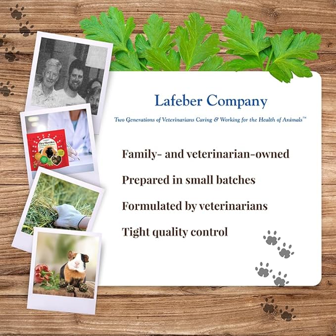 LAFEBER'S Hey!Berries for Guinea Pigs 5 oz (Bell Pepper and Cilantro)