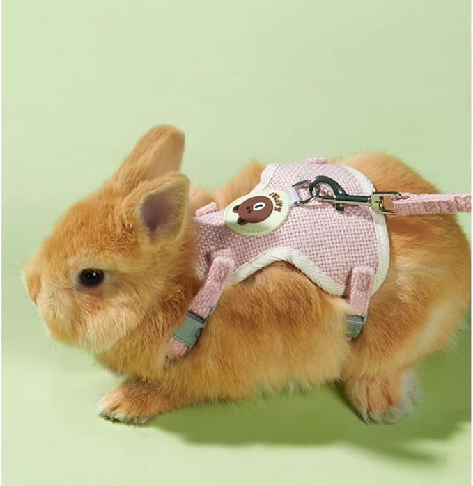 Rabbit Harness and Leash Set Adjustable Bunny Harness Leash Ferret Harness Guinea Pig Harness Ferret Leash for Small Pets Walking Outdoor (Small,Blue)