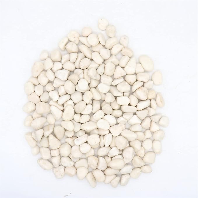 White Polished Rocks for Plants, Decorative Pebbles, 1-2 Inch, 10 lb