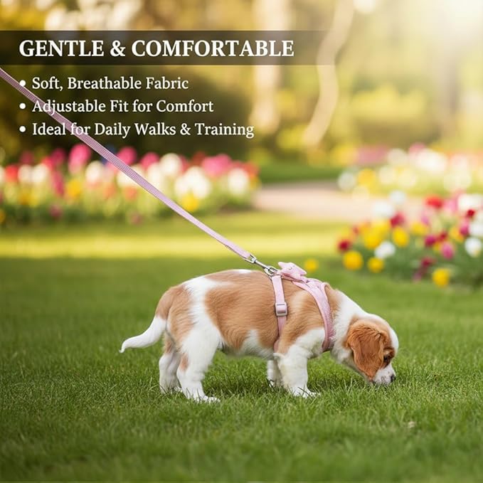 2 Pack Adjustable Rabbit Harness Set,Escape Proof Harness for Small Pets,Rabbits,Guinea Pigs,Ferrets – Comfortable,Durable Bunny Accessories for Walking&Running,All Season for Small Animals(Pink,Blue)