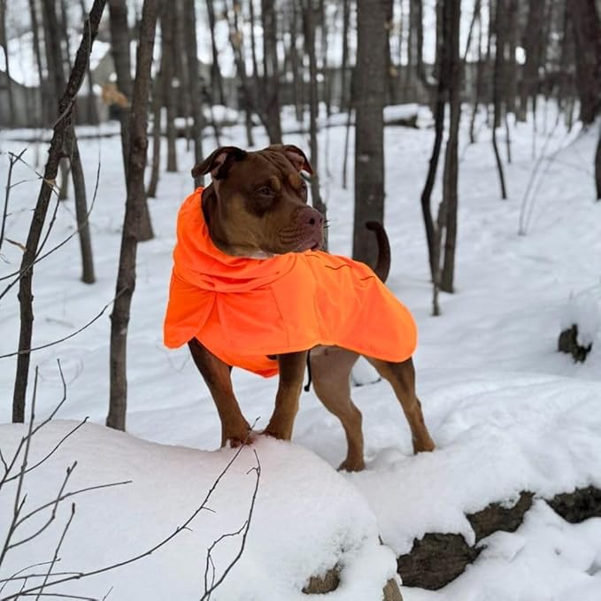 Spark Paws Dog Raincoat, Waterproof Windproof Rain Jacket, for Small Medium Large Extra Large Dogs, Reflective Breathable Full-Body Coverage Dry Suit - Orange - 3XL