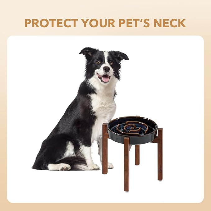 Havniva Elevated Slow Feeder Dog Bowls, 1.6 Cups Raised Ceramic Dog Food Bowls with Acacia Wood Stand, 8.2 inch Slow Feeder for Medium Dogs Puzzle Bowls for Fast Eater Anti-Choking