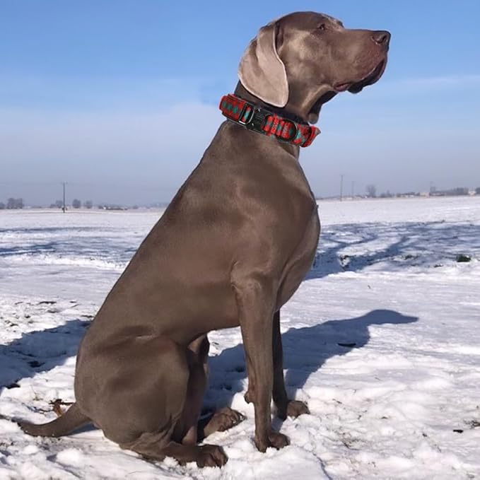Christmas Tactical Dog Collar Adjustable Nylon Dog Collar Metal Buckle with Handle for Dog Training (Christmas Green,M)