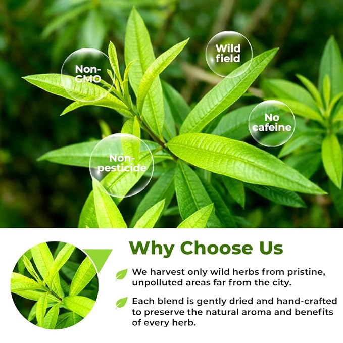 1.8 oz. Lemon Verbena Herbal Tea (Aloysia Citrodora) – 51g Dried Lemon Verbena Herb Tea Cedrón