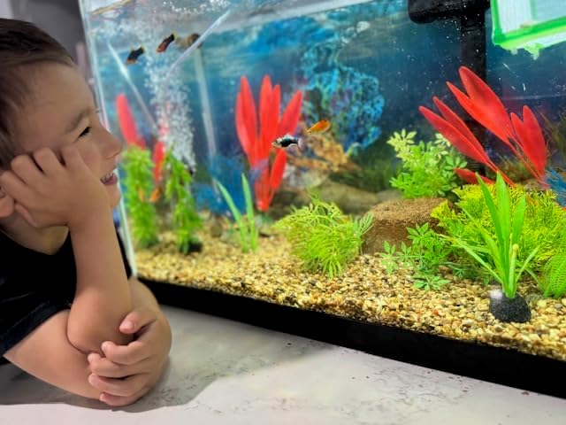 EcoBio-Block Aquarium Water Clarifier (Small, 8–16 gal) | Volcanic Rock — Lasts Up to 2 Years — No Weekly Additives — Long-Term Water Balance — Safe for Fish, Shrimp, Frogs & Turtles