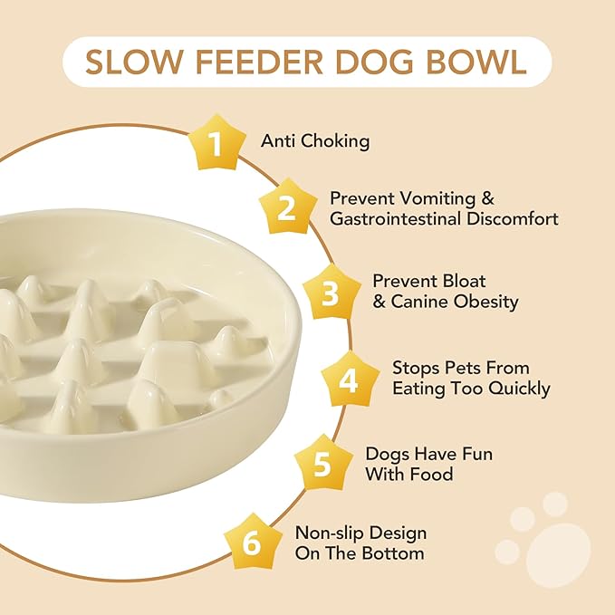 Havniva Ceramic 1.6 Cup Dog Bowl Slow Feeder, 8.2 inch Slow Pet Food Dish for Medium and Large Dog, Stop Bloat, Preventing Choking(Single Bowl, Light Yellow)
