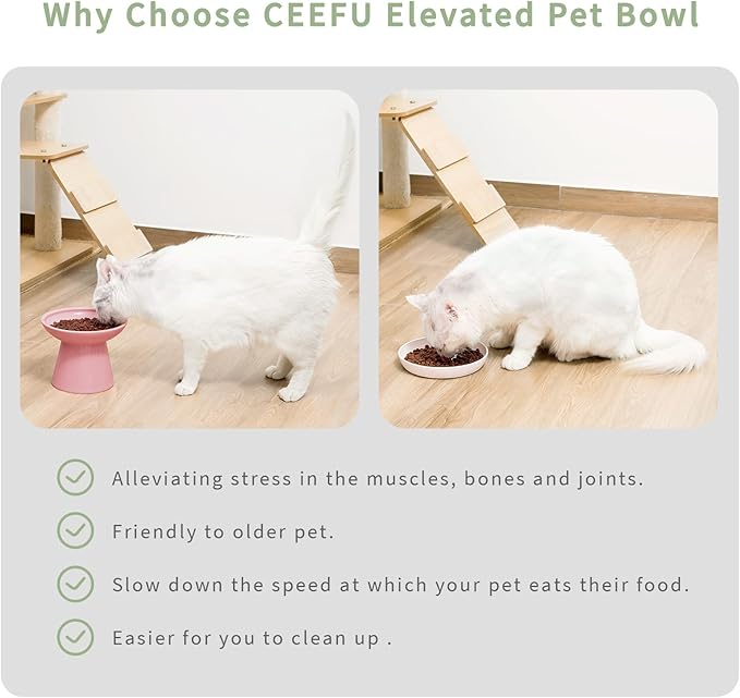 CEEFU Extra Wide Elevated Ceramic Cat Water Bowl - 6.2" Deeper Dish for Whisker Fatigue Relief, 5" Height for Easy Feeding, Lead & Cadmium Free, Durable Raised Cat Bowls, Pink