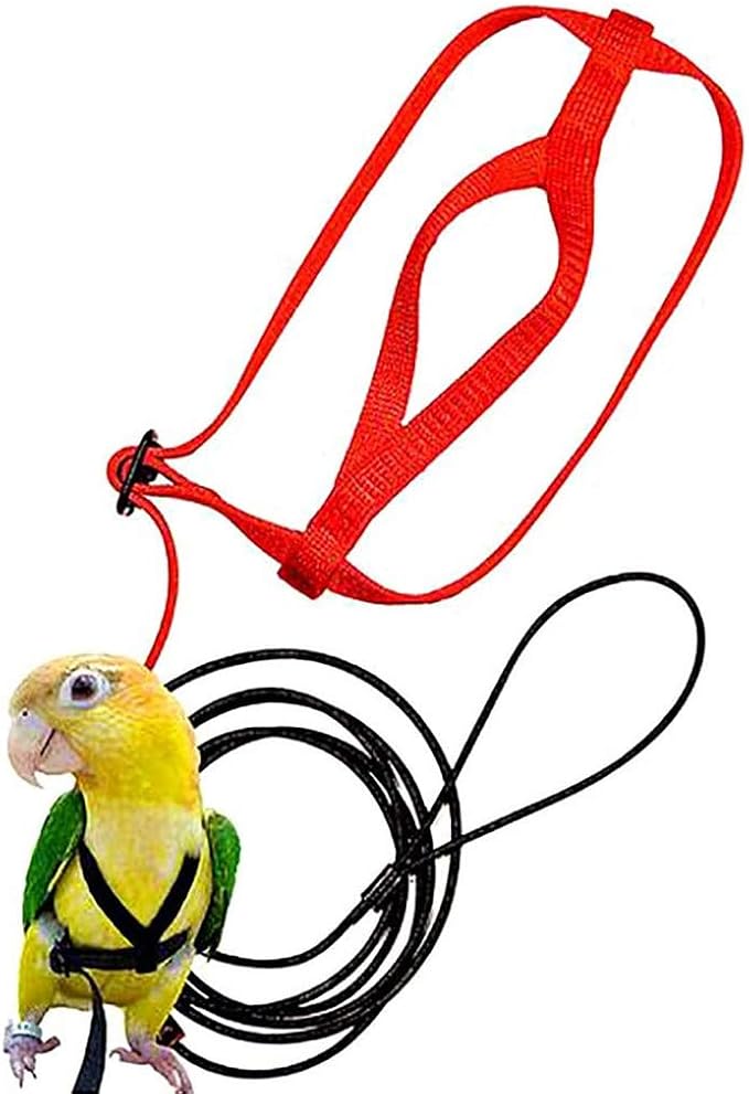 XISAOK Parrot Bird Harness Leash Supplies Adjustable Anti-Bite Training Rope Outdoor Activities Flying Traction Straps Band