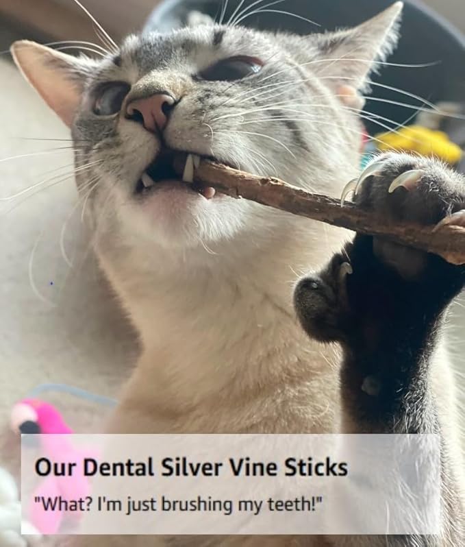 From The Field Silver Vine Sticks for Cats | Natural Dental Chew & Catnip Alternative | Ultimate Blend Marinated for Maximum Potency | Helps Clean Teeth & Promote Play | USA-Made Cat Chew Toy