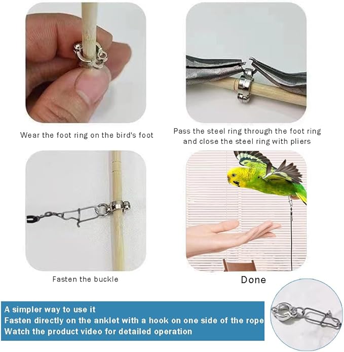 OULIGET Parrot Flying Training Rope with 5 Size Bird Foot Ring,Outdoor Flying Kit Bird Traction Rope,Training Toy Prevent Escaping for Cockatiels Birds Pigeon