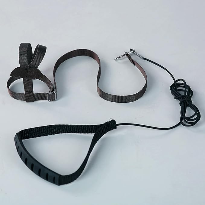 Parrot Harness Adjustable Bird Harness Flying Rope Strap Outdoor Training Traction Rope for Small Parrots Anti-Bite,Bird Nylon Rope with Cute Wing (Black)