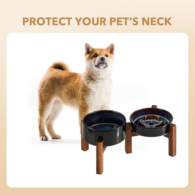 Havniva Elevated Slow Feeder Dog Bowls, 0.9 Cups Slow Feeders 6.1 inch Ceramic Dog Food & Water Bowls Set with Acacia Wood Stand Puzzle Bowls for Fast Eater, Small Dogs Anti-Choking