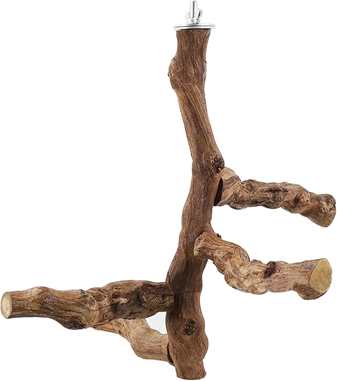 6 PCS Bird Perch Stand Natural Grapevine with Chewing Toys for Parrots, Parakeets, Cockatiels, Conures, Macaws, Love Birds (Style 8)
