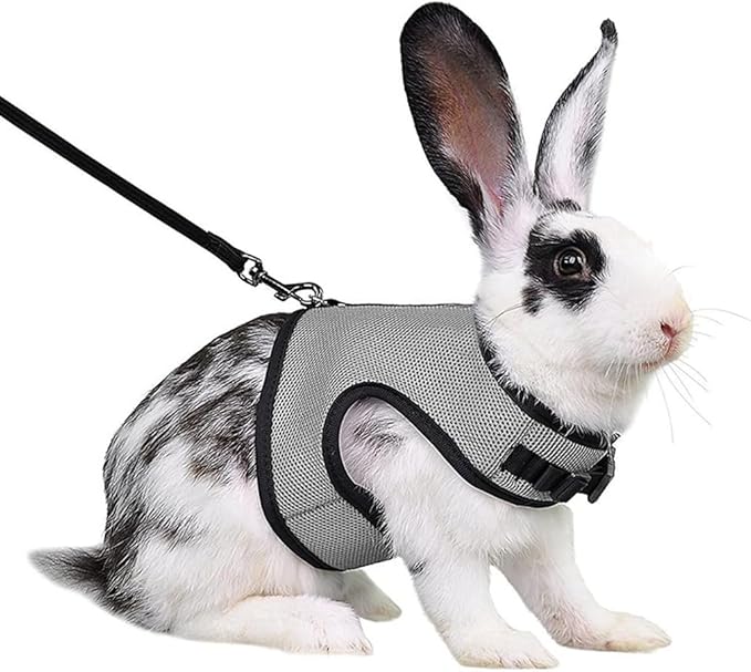 Ferret Harness and Leash,Mini Rabbit Harness and Leash Set Eescape Proof Mesh Walking Training for Rat Hamster Squirrel Small Animal Pets Harness,Brown M